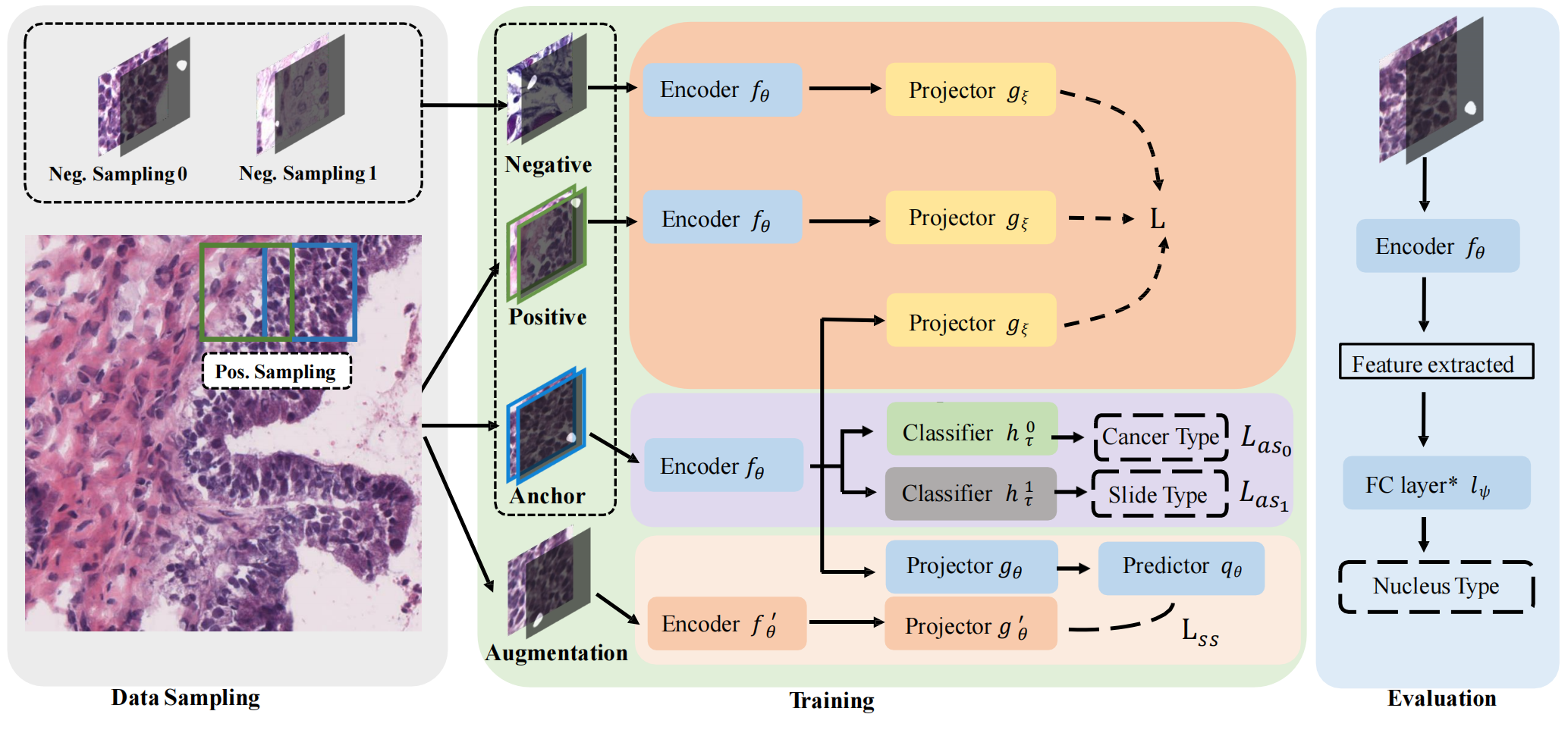 Paper Title Graphic Abstract for structured triplet